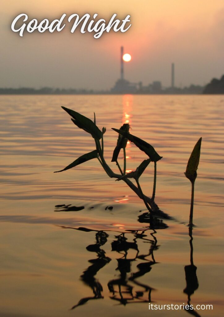 sun set at river