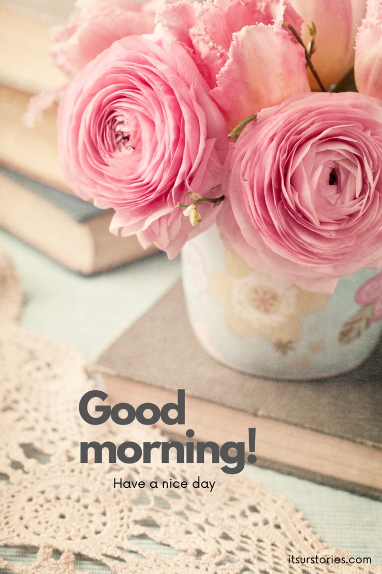 50 Beautiful Good Morning Images with Have a Nice Day Message - ITS UR ...