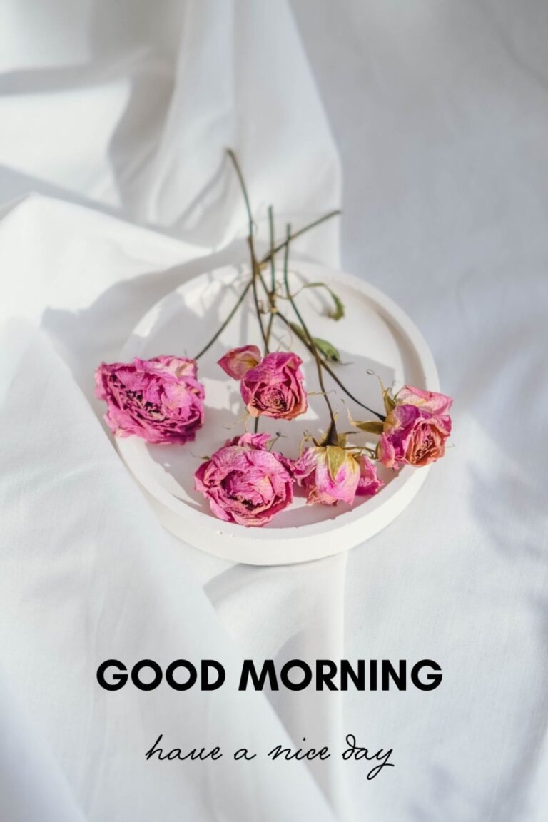 50 Beautiful Good Morning Images with Have a Nice Day Message - ITS UR ...