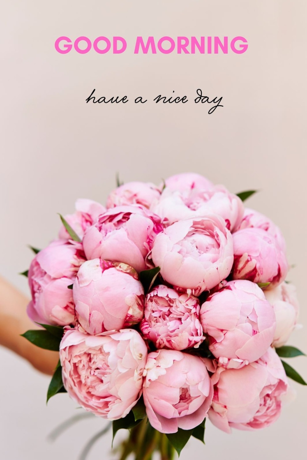 50 Beautiful Good Morning Images with Have a Nice Day Message - ITS UR ...