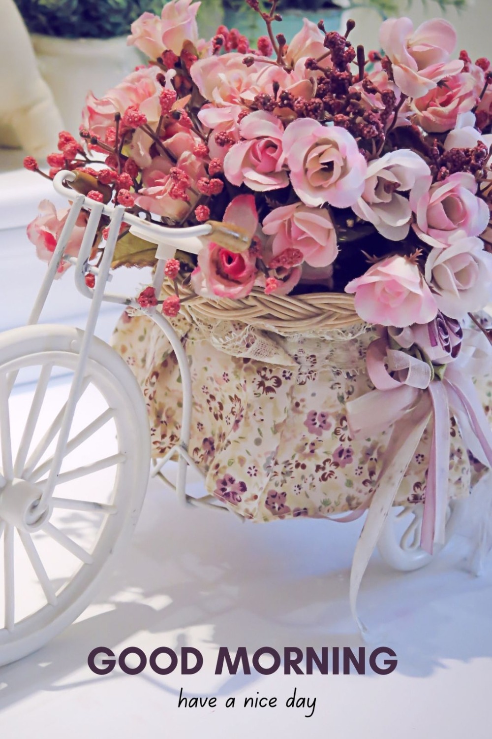 50 Beautiful Good Morning Images with Have a Nice Day Message - ITS UR ...