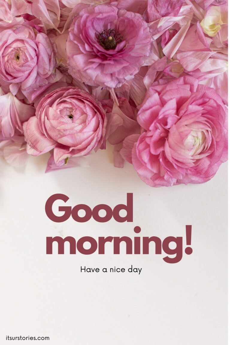 50 Beautiful Good Morning Images with Have a Nice Day Message - ITS UR ...