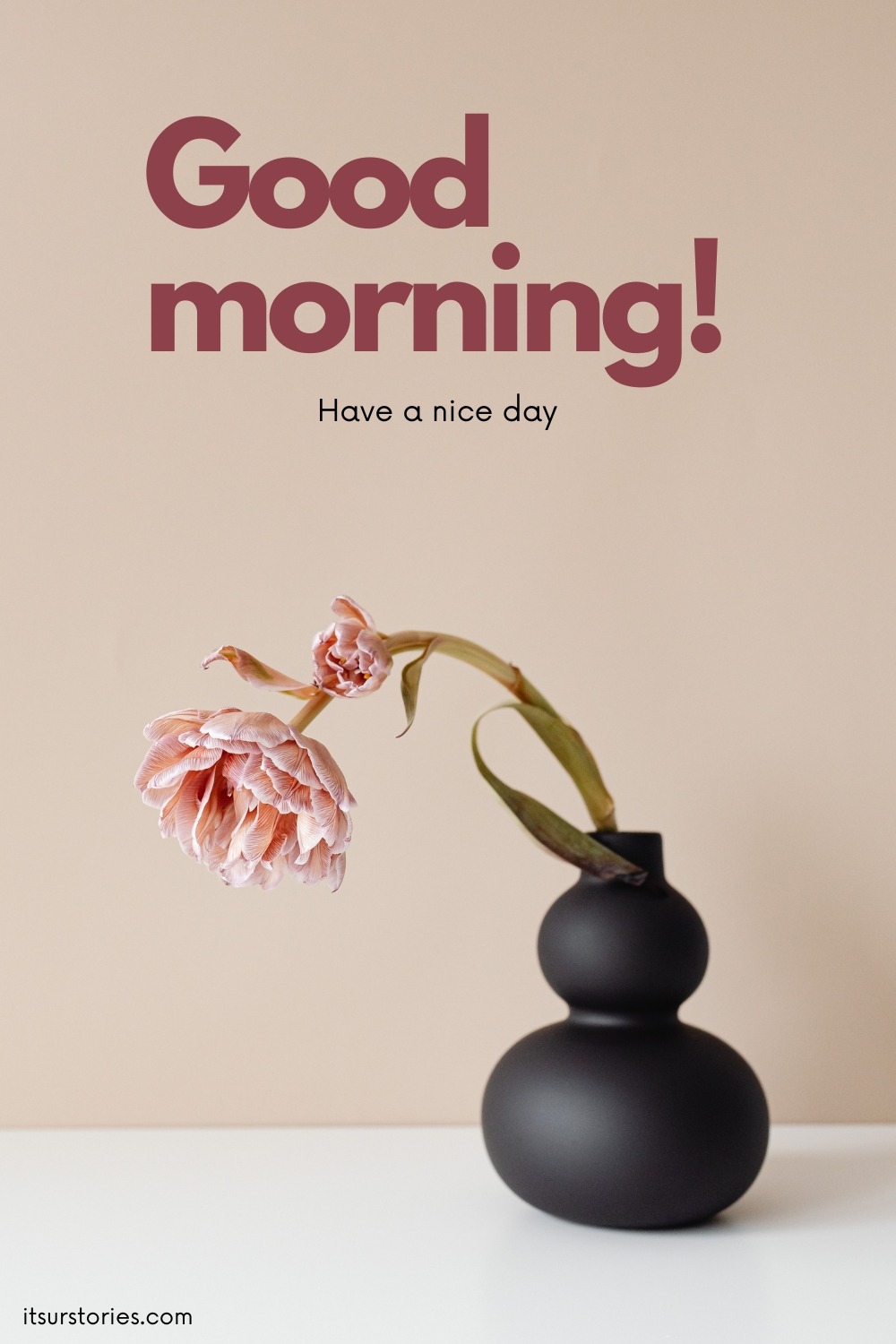 50 Beautiful Good Morning Images with Have a Nice Day Message - ITS UR ...
