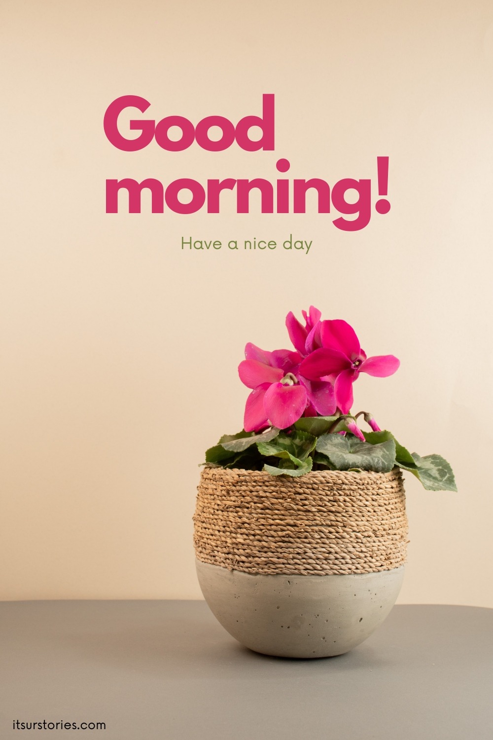 50 Beautiful Good Morning Images with Have a Nice Day Message - ITS UR ...